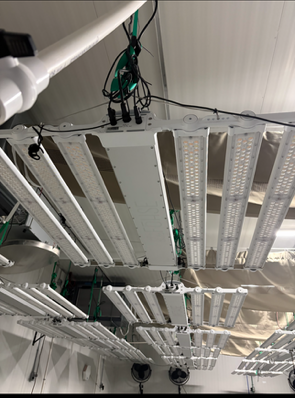 Full Commercial Indoor Grow Setup - Image 3