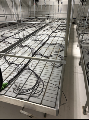 Full Commercial Indoor Grow Setup - Image 2
