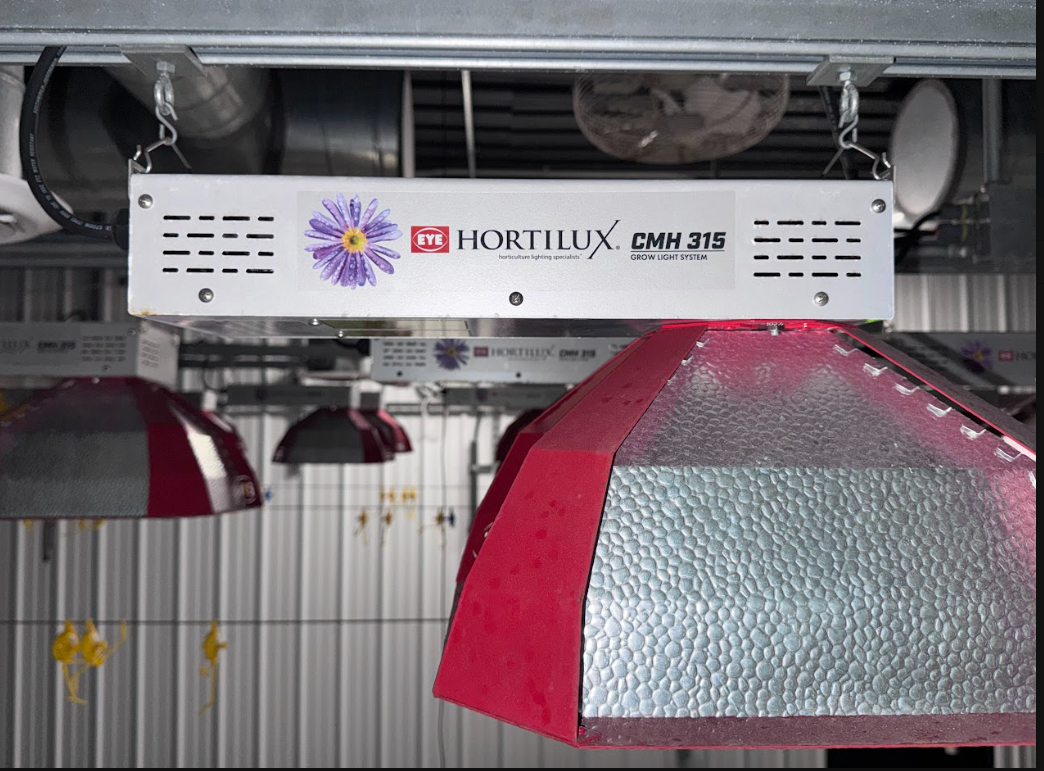 Hortilux CMH315 Commercial Grow Lights (200–277V) - Image 3
