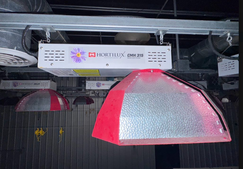Hortilux CMH315 Commercial Grow Lights (200–277V)